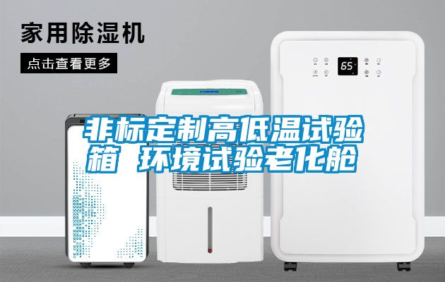 非標定制高低溫試驗箱 環境試驗老化艙