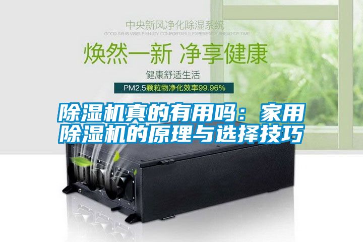 除濕機真的有用嗎：家用除濕機的原理與選擇技巧