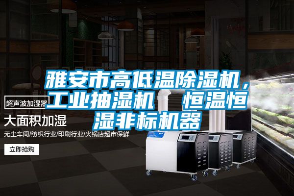 雅安市高低溫除濕機，工業抽濕機  恒溫恒濕非標機器