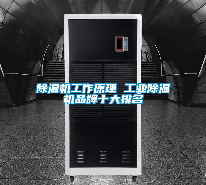 除濕機工作原理 工業除濕機品牌十大排名