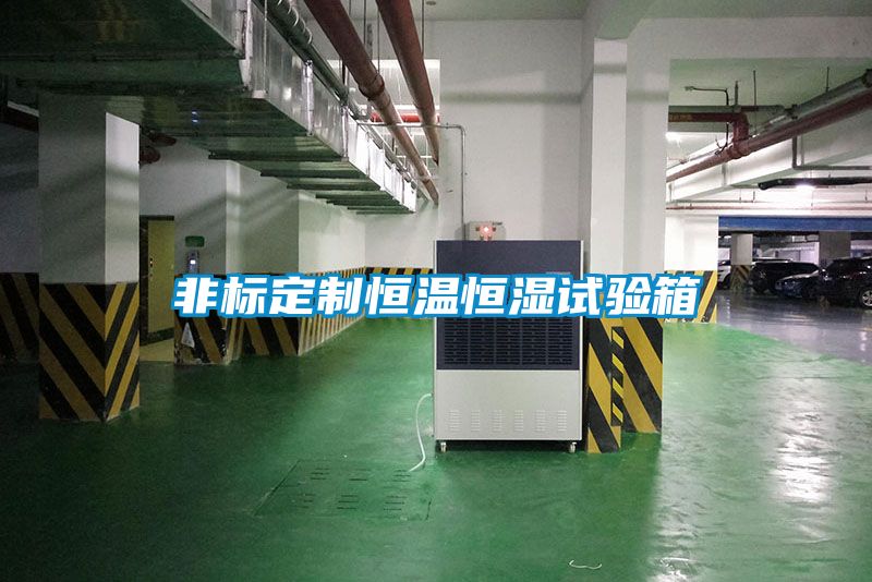 非標(biāo)定制恒溫恒濕試驗箱