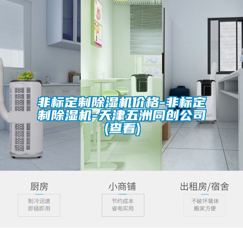 非標定制除濕機價格-非標定制除濕機-天津五洲同創公司(查看)