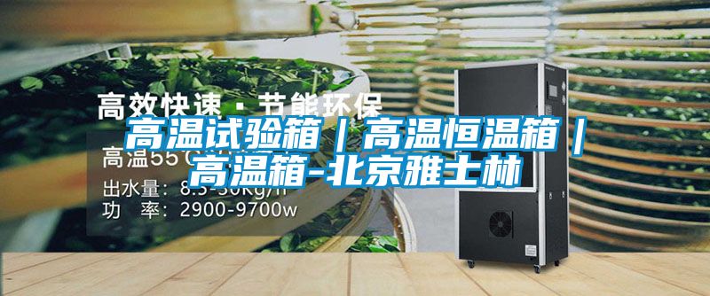 高溫試驗箱｜高溫恒溫箱｜高溫箱-北京雅士林