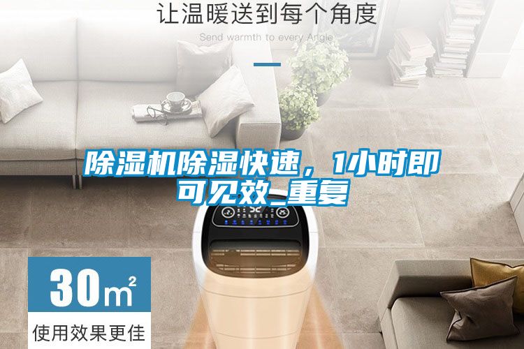 除濕機除濕快速，1小時即可見效_重復