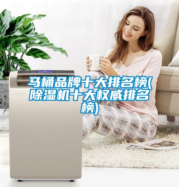 馬桶品牌十大排名榜(除濕機十大權威排名榜)