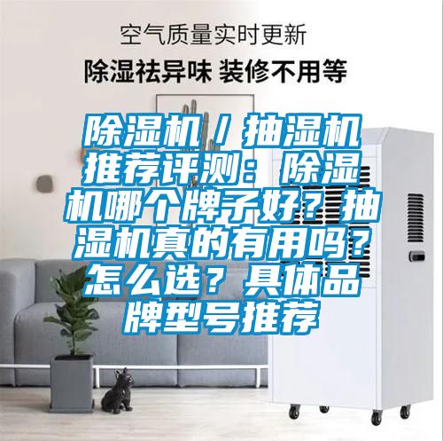 除濕機／抽濕機推薦評測：除濕機哪個牌子好？抽濕機真的有用嗎？怎么選？具體品牌型號推薦