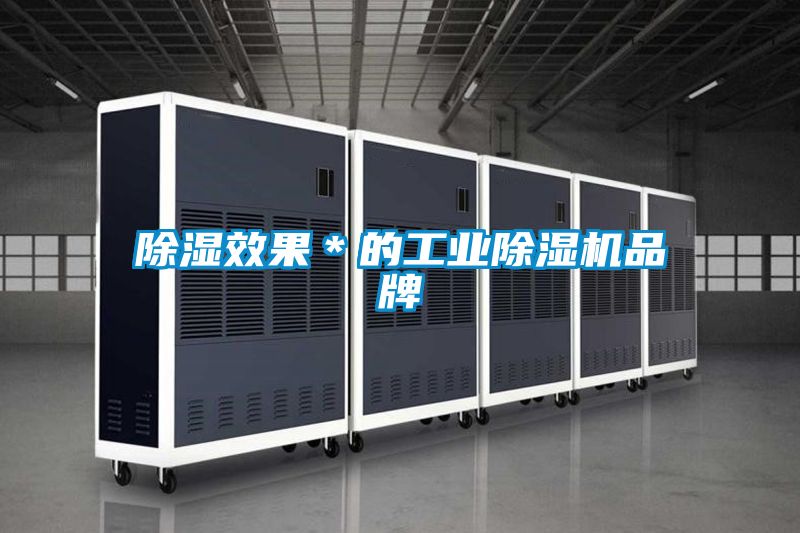 除濕效果＊的工業除濕機品牌