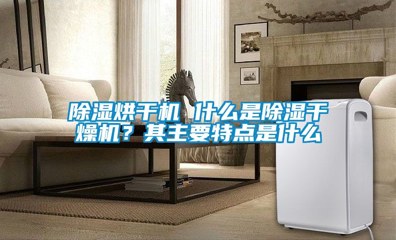 除濕烘干機 什么是除濕干燥機？其主要特點是什么