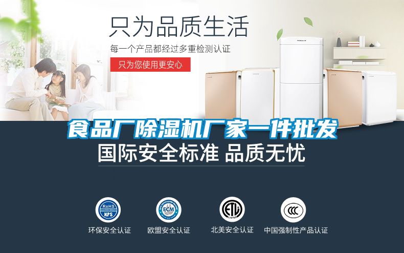 食品廠除濕機(jī)廠家一件批發(fā)