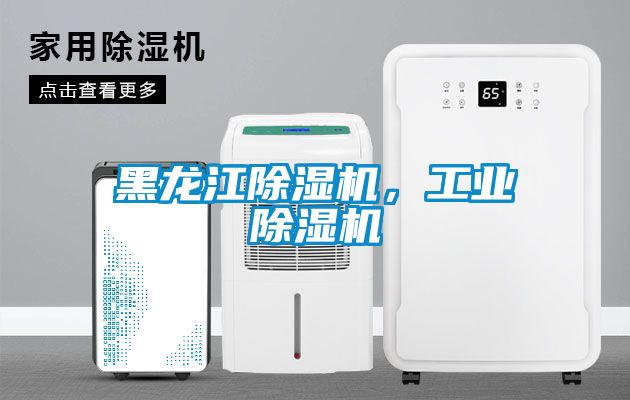 黑龍江除濕機，工業除濕機