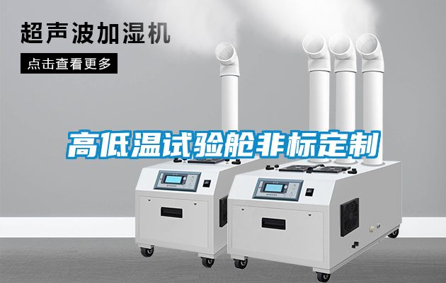 高低溫試驗艙非標定制