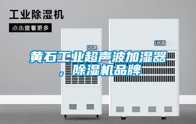 黃石工業超聲波加濕器，除濕機品牌