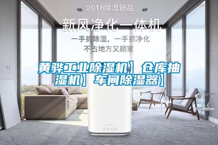 黃驊工業除濕機】倉庫抽濕機】車間除濕器】