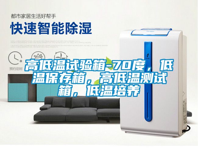 高低溫試驗(yàn)箱-70度，低溫保存箱，高低溫測試箱，低溫培養(yǎng)