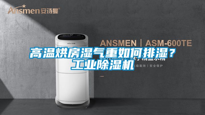 高溫烘房濕氣重如何排濕？工業除濕機