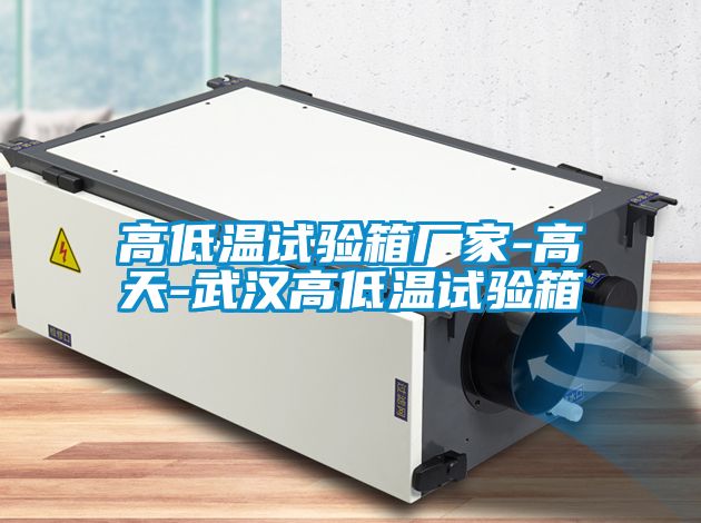 高低溫試驗箱廠家-高天-武漢高低溫試驗箱