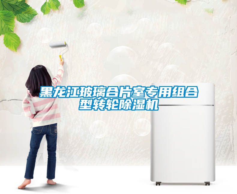 黑龍江玻璃合片室專用組合型轉(zhuǎn)輪除濕機(jī)