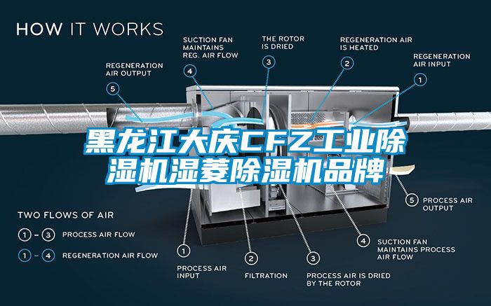 黑龍江大慶CFZ工業除濕機濕菱除濕機品牌