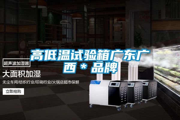 高低溫試驗箱廣東廣西＊品牌