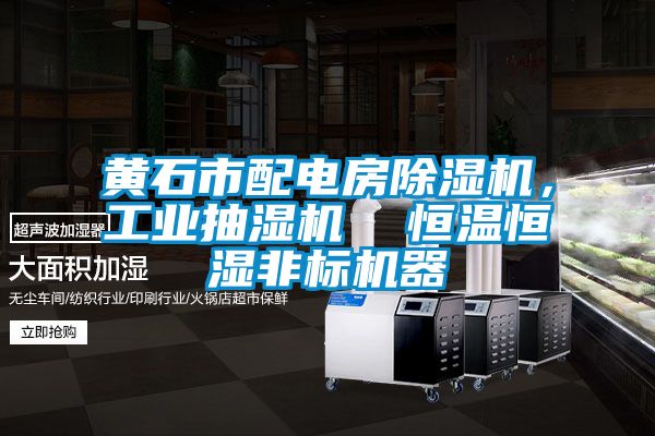 黃石市配電房除濕機，工業(yè)抽濕機  恒溫恒濕非標機器