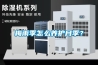 梅雨季怎么養護月季？