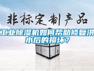 常見問題工業除濕機如何幫助修復洪水后的損壞？