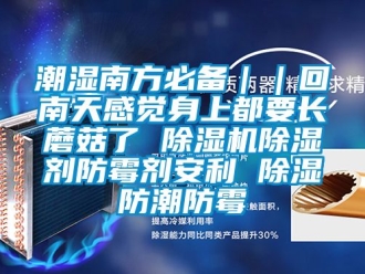 企業新聞潮濕南方必備｜｜回南天感覺身上都要長蘑菇了 除濕機除濕劑防霉劑安利 除濕防潮防霉