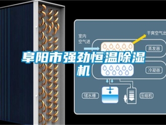 知識百科阜陽市強勁恒溫除濕機