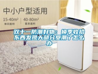 常見問題雙十一防潮好物：換季收拾東西發現大部分受潮了怎么辦
