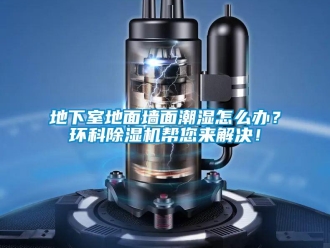 常見問題地下室地面墻面潮濕怎么辦？環(huán)科除濕機幫您來解決！