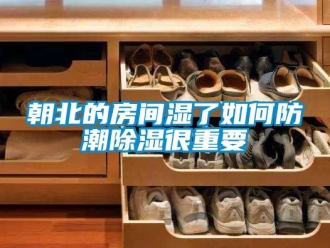 企業(yè)新聞朝北的房間濕了如何防潮除濕很重要