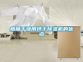 行業新聞臘腸干燥用烘干除濕機的優點