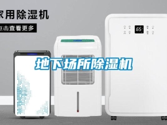 行業(yè)新聞地下場所除濕機(jī)