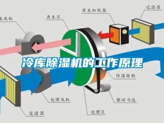 行業新聞冷庫除濕機的工作原理