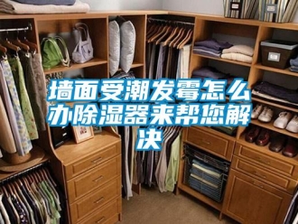 常見問題墻面受潮發霉怎么辦除濕器來幫您解決