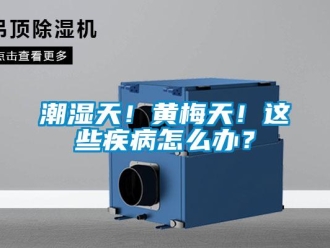 常見問題潮濕天！黃梅天！這些疾病怎么辦？