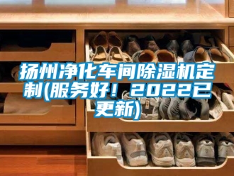 企業(yè)新聞?chuàng)P州凈化車間除濕機(jī)定制(服務(wù)好！2022已更新)