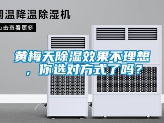 常見問題黃梅天除濕效果不理想，你選對方式了嗎？