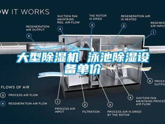 行業新聞大型除濕機 泳池除濕設備單價