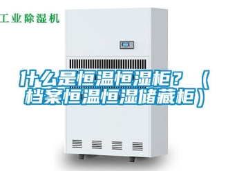 知識百科什么是恒溫恒濕柜？（檔案恒溫恒濕儲藏柜）