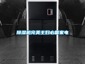 企業(yè)新聞除濕機(jī)完美主婦必備家電