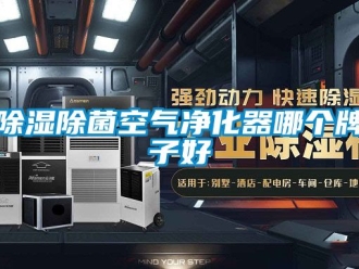 企業(yè)新聞除濕除菌空氣凈化器哪個牌子好