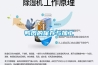 鴨肉的保存與加工