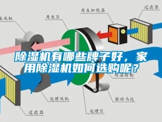 常見問題除濕機有哪些牌子好，家用除濕機如何選購呢？