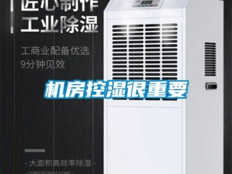 行業(yè)新聞機(jī)房控濕很重要