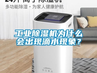 企業新聞工業除濕機為什么會出現滴水現象？
