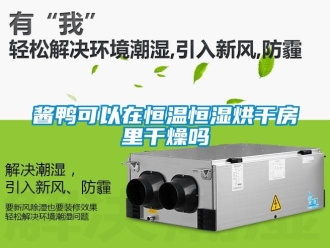 知識百科醬鴨可以在恒溫恒濕烘干房里干燥嗎