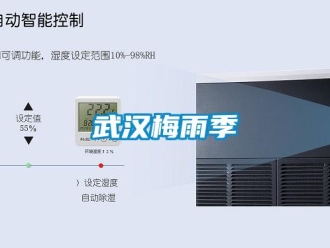 知識百科武漢梅雨季