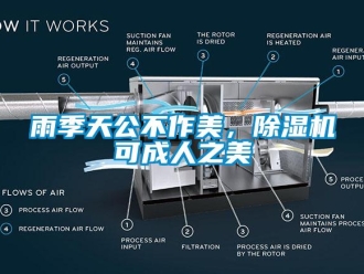 知識百科雨季天公不作美，除濕機可成人之美