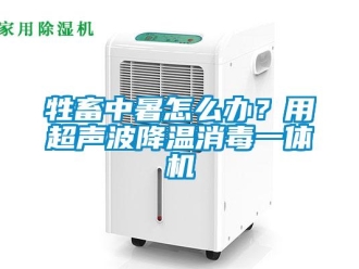 常見問題牲畜中暑怎么辦？用超聲波降溫消毒一體機